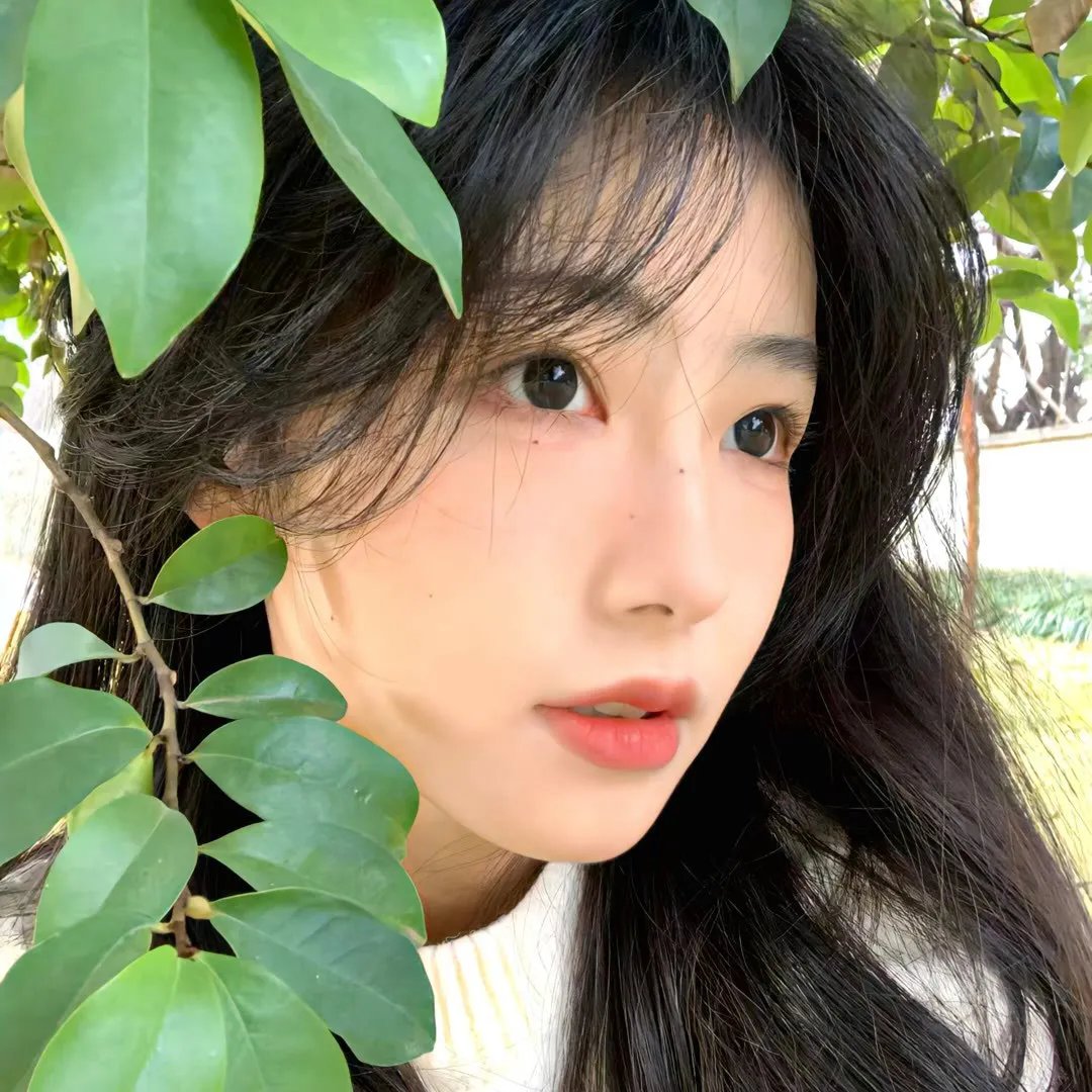 少女与海怪