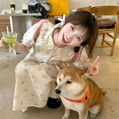 龙三和他的七人党